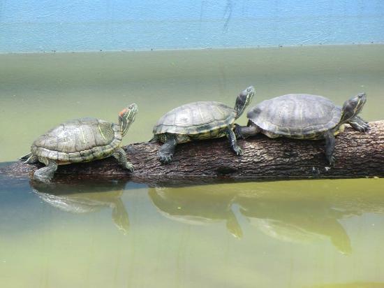 Parque Estadual do Rio Vermelho
